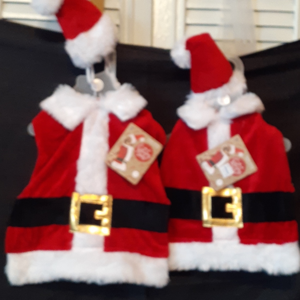 Santa Paws doggy costume
